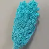 Cabeças de Flores de Sorgo Coloridas Eternas para Decoração de Casa, Arte Decorativa, Adereços de Fotografia e Flores Naturais Reais para Arranjos Florais