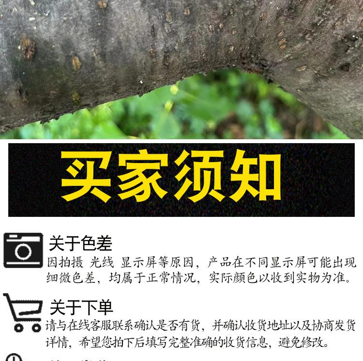 详情页_13.jpg