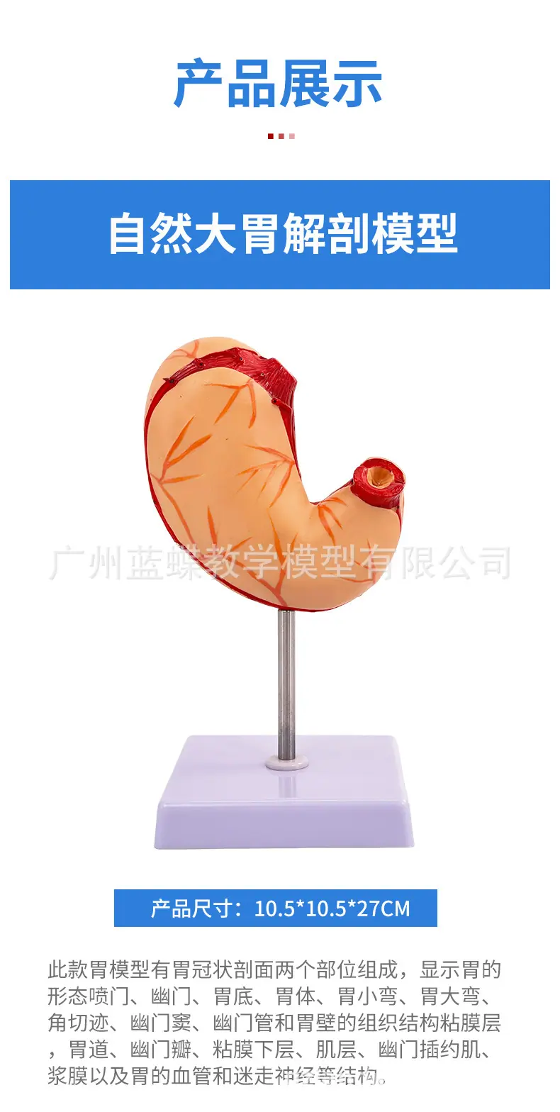 详情_06