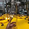 Línea de Producción de Llenado de Cerveza en Botella de Vidrio, Máquina de Llenado de Cerveza en Botella de Vidrio, Equipos de Producción de Llenado y Sellado para la Temporada Alta de Elaboración de Cerveza