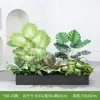 [Serie Y80] Decoración de Partición de Planta Verde Simulada Macetero Maceta Valla Paisajística de Plástico Biónico Diseño