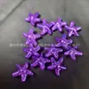 Estrella de Mar Perlada de ABS DIY Pulsera de Teléfono con Cuentas Hecha a Mano Accesorios para el Cabello Decoración Accesorios para Transmisiones en Vivo de Celebridades de Internet