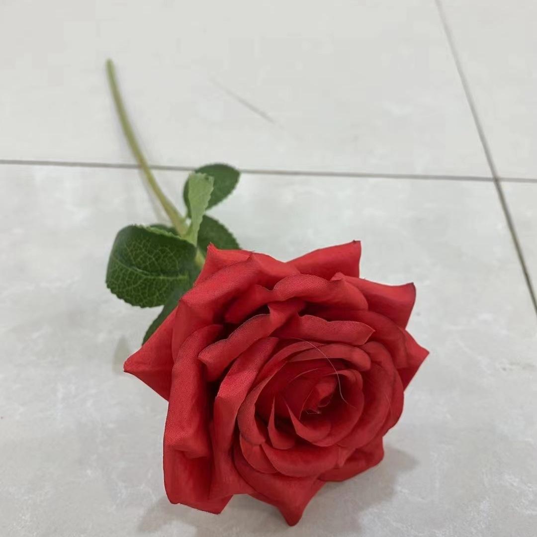 单支玫瑰红色
