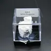 Cristal Natural Minério Rocha Pedra Bruta Cristal Mineral Ornamentos Presente de Ensino de Ciências para Crianças Coleção de Espécimes de Minério
