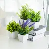 Flores Artificiales Mesa de Casa Adornos Creativos Flores de Plástico Césped Artificial Plantas Verdes Adornos de Interior Mini Decoraciones Bonsái
