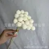 Flor Preservada Bola Dorada Decoración de Regalo Ramo de Flores Preservadas Jarrón DIY Martillo Dorado Flor Regalo del Día de la Madre Transfronterizo