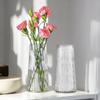 Vaso Vento Ins Vaso de Vidro Nórdico Transparente Água Sala de Estar Vaso Simples Ornamentos de Flores Decoração de Casa