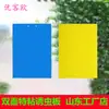 Tablero Trampa Pegajosa de Doble Cara para Insectos Transfronterizo de Amazon, Tablero Amarillo, Tablero Azul, Tablero Matainsectos, Trampa para Moscas de la Fruta y Trips para Invernadero