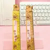 Regla Oscilante Divertida de Capibara Capibara Acrílico Estudiante Regla de 15 cm Dibujo Estudiante Regla de Doble Cara