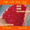 Masterbatch Rojo de Nylon Resistente al Hervor 99778 Nylon Especial para Hervor Masterbatch Rojo de Nylon Resistente al Hervor 99778