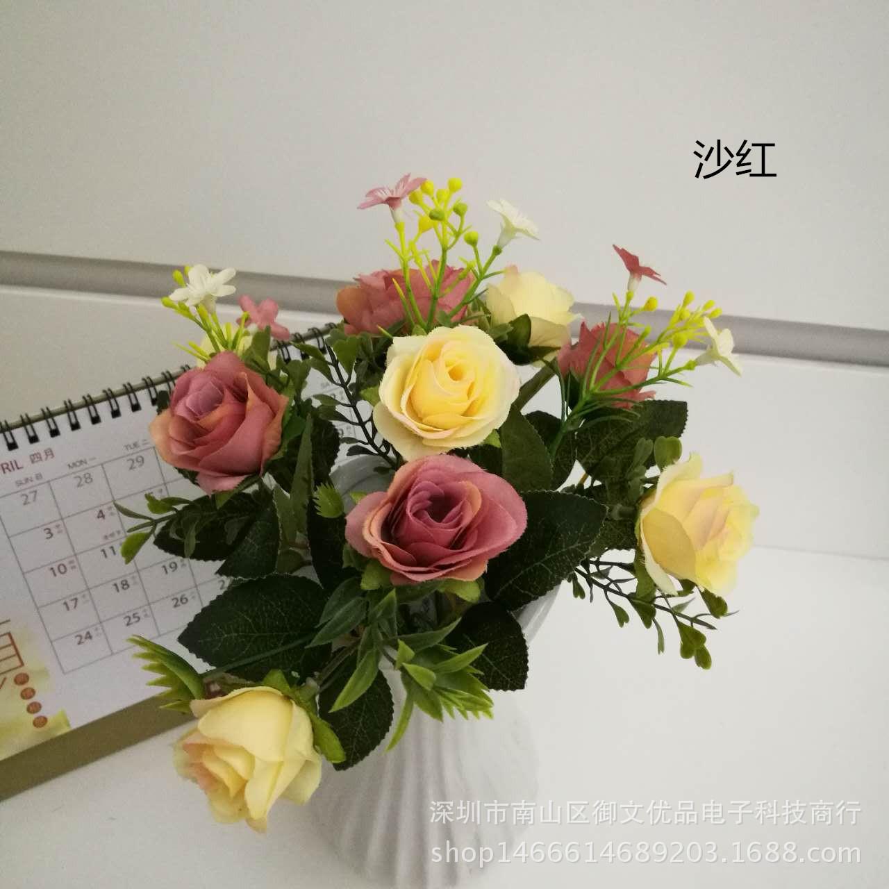 10头天仙玫瑰 沙红1_副本