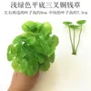 3 Piezas de Hierba del Dinero con Hojas de Moneda de Cobre, Plantas Verdes Pequeñas en Maceta para Decoración de Escritorio