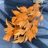 Flor artificial Phoenix Tail Leaf Decoração de casamento Mori Decoração de casamento Adereços de tiro Road-guide Flower Row Flor artificial Flor falsa