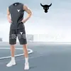 Conjunto de Duas Peças Masculino para Corrida de Secagem Rápida, Regata Sem Mangas, Roupa para Treinamento Físico, Camisa de Basquete, Regata de Verão com Shorts, Em Estoque