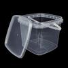 Arcilla cristalina de color, arcilla espacial, cubo de embalaje portátil, cubo cuadrado de plástico transparente sellado con tapa, cubo para guardar refrigerios de frutas