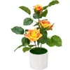 Plantas artificiais de rosa em vaso para decoração de casa, display de mesa, fabricante de rosas com bordas onduladas, pequenas plantas em vaso criativas - Amazon transfronteiriça