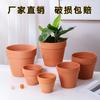 Vaso de Cerâmica Grossa Verde para Suculentas, Vaso de Flor de Argila Vermelha Respirável para Interior e Exterior, Vaso para Plantas de Vários Tamanhos, Estilo de Mesa