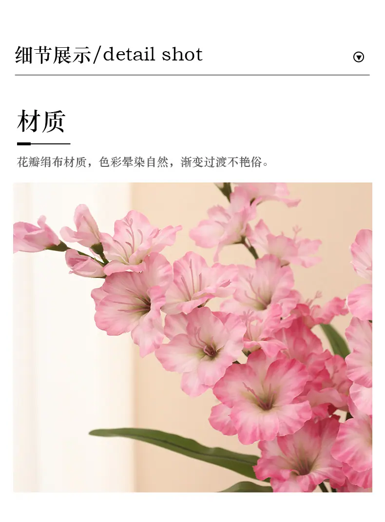 单枝韶华剑兰_12.jpg