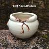 Vaso de Flor Carnuda Cerâmica Jardinagem Cerâmica Mini Novo Criativo Grés Casa Vintage Novo Vaso de Porcelana Vaso