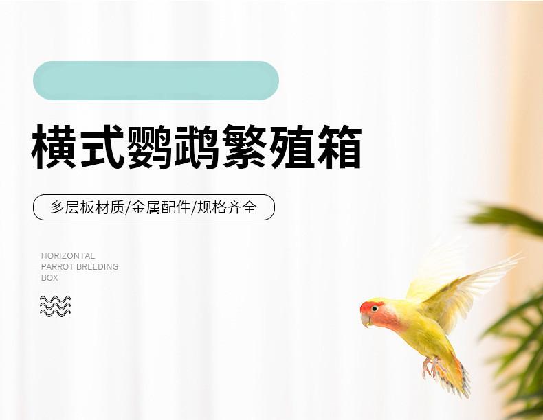 1688横式繁殖箱_05.jpg