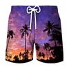 Pantalones de playa deportivos de ocio para hombre, venta al por mayor, impresión digital 3D, para vacaciones de verano en la playa, 2023
