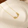 Sentido de alta gama diseño simple de rama de olivo nueva moda nicho cadena de acero de titanio no se decolora cadena de clavícula de lujo ligero para mujer