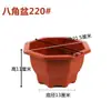 Macetas Rectangulares para Bonsái en Stock Venta al por Mayor Plástico Engrosado y Elevado Macetas para Árboles Frutales Flores Siembra Superficial Jardinería Biodegradable Plantas Verdes