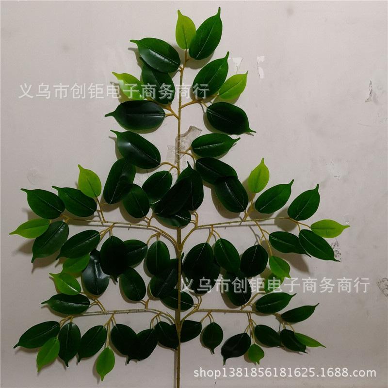 QQ图片20180113090939.jpg
