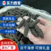Pepino de Mar Especial de Dalian Venta al por Mayor a Granel Productos Secos Alimentos Ligeramente Secos Pepino de Mar de Liaoning Caja de Regalo para Regalar Gran Cantidad Gran Precio Excelente Valor