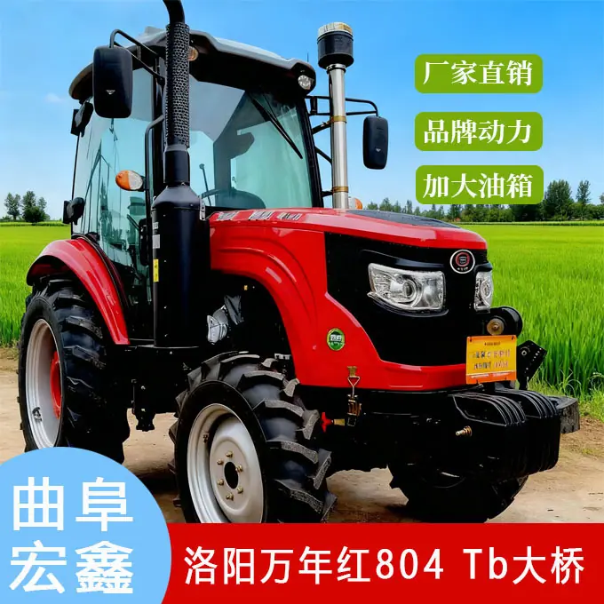 洛阳万年红804