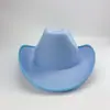 Atacado do Fabricante Chapéus de Cowboy com Acabamento Rosa, Chapéus de Cowboy com Acabamento Branco, Chapéus de Cowboy com Acabamento Dick Preto e Marrom