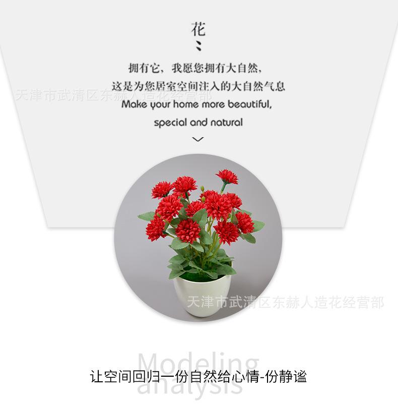 详情_05.png