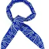 Toalla de Hielo Refrigerante para Deportes de Verano Pulsera de Sensación Fría Bufanda Bandana Diadema con Estampado de Sensación Fría Toalla de Sensación Fría Venta al por Mayor
