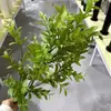 Folhas de samambaia artificiais e plantas verdes para decoração, acessórios para cena de casamento, plantas artificiais para decoração de interiores