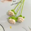 Rosas Terminadas Tejidas a Mano con Hilo para Decoración del Hogar, Nomeolvides, Margaritas Pequeñas, Rosas Burbuja, Flores Artificiales de Alta Calidad