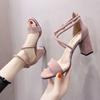 Zapatos de Tacón de Moda Versátiles con Hebilla de Tacón Alto para Estudiantes 2024 Nuevas Sandalias Romanas de Alto Valor para Mujer, Celebridad de Internet, Estilo Ins