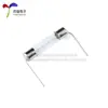 Fusible de Vidrio con Pines 5*20/6*30mm 1A- 20A 250V Fusible/Fusible