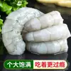 Camarones grandes recién pelados, camarones verdes, camarones blancos frescos, camarones recién congelados, camarones grandes sin vena, caja completa