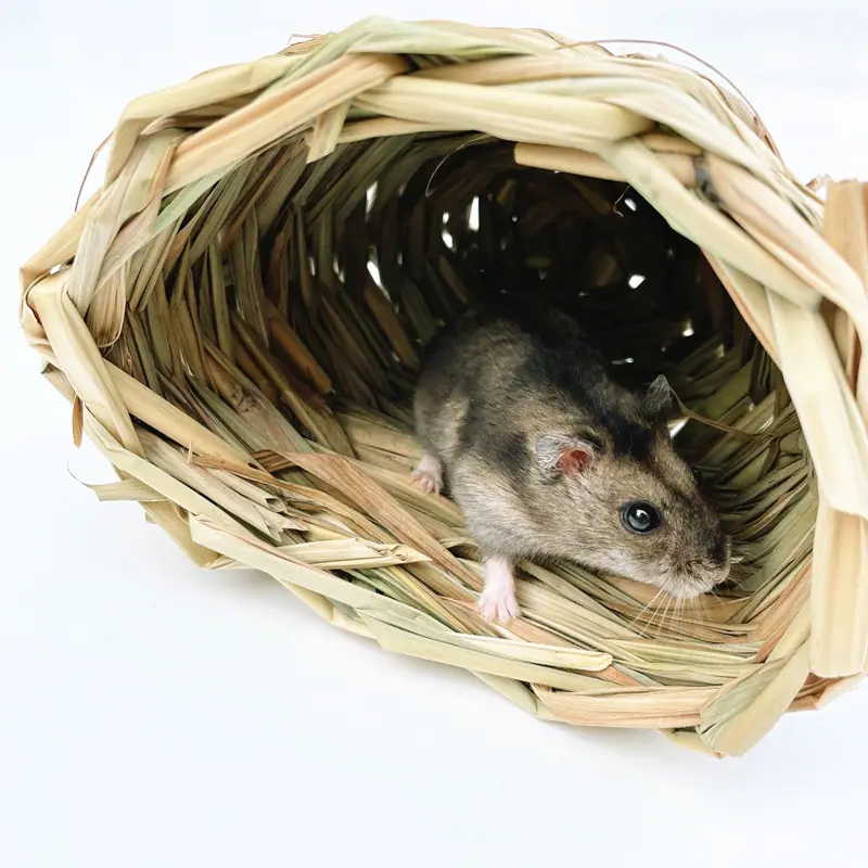 半圆弧 (24)_副本.jpg