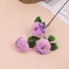 Flores de Peônia Koi Artificiais para Decoração de Sala de Estar Interna, Arranjo de Flores, Decoração de Mesa, Flores de Seda e Materiais Florais