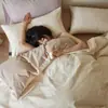 Novo Conjunto de Quatro Peças A-Class 100% Algodão Escovado Outono-Inverno Jacquard de Alto Padrão Capa de Edredom Espessa e Quente Roupa de Cama para Quatro Estações 4