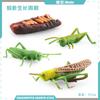 Simulación sólida Araña Naruto ciempiés modelo de insecto juguete para niños mariposa abeja animal decoración bandeja de arena