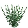 Hojas y Tallos de Eucalipto Amazónico Transfronterizos, Ramas Verdes para Manualidades con Hojas de Eucalipto para Decoración del Hogar, Arreglos Florales para Bodas al Aire Libre