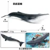 Modelos Realistas de Animales Marinos Transfronterizos: Tiburón Azul, Megalodón, Tiburón Ballena Gris, Tiburón Blanco, Tiburones Martillo Juguetes