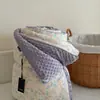 Colcha de Doble Capa de Gasa con Cordón de Algodón y Lino Estilo Coreano Ins, Terciopelo de Frijol, para Primavera y Otoño, Relleno de Colcha Doble de Invierno Espeso y Cálido