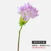 Baizilian Flor Artificial Única Material de Flor de Alta Qualidade Flor Artificial Clivia Decoração de Casa Enfeites Flor Artificial de Simulação Baizilian Planta Verde