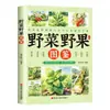 Guía Ilustrada para Identificar Verduras y Bayas y Sus Usos Medicinales: Un Libro sobre los Tipos y Beneficios de las Verduras y Bayas Silvestres para la Recolección al Aire Libre