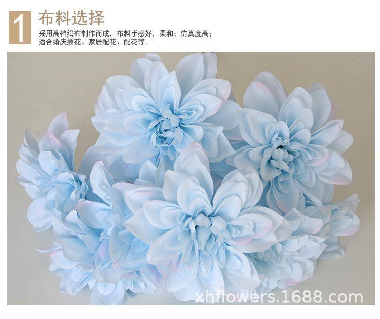 大丽菊花头_17.jpg