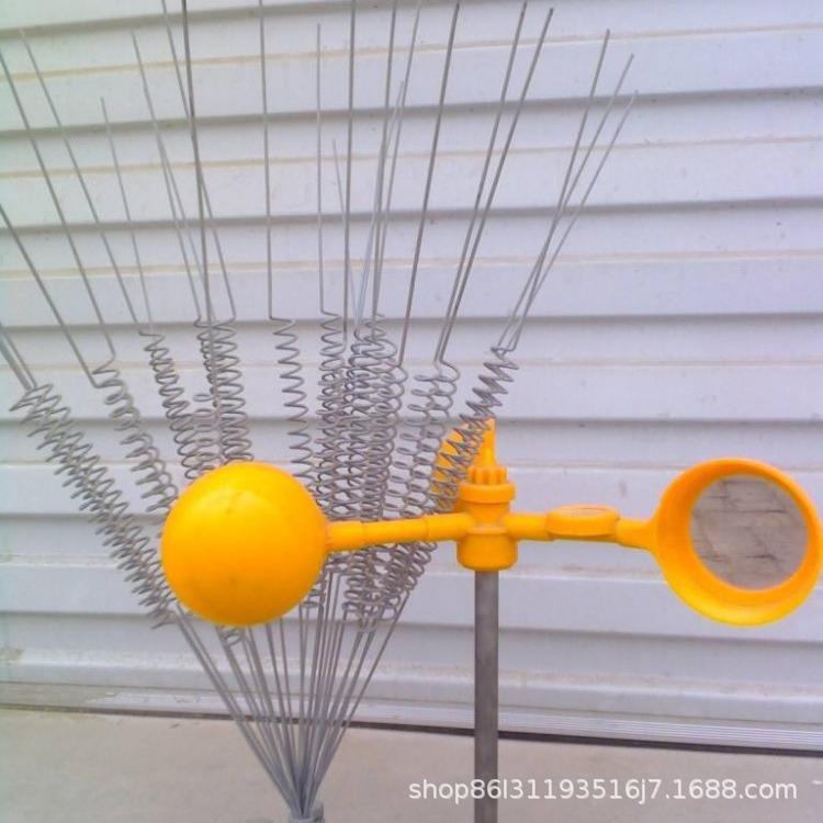 2345_image_file_copy_64.jpg