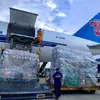 Fornecimento Direto da Fábrica de Origem: Filme para Transporte de Aeroporto, Filme para Cobertura de Carga de Aeroporto, Filme de Folha Única de PE, Lona à Prova de Chuva, Filme para Palete
